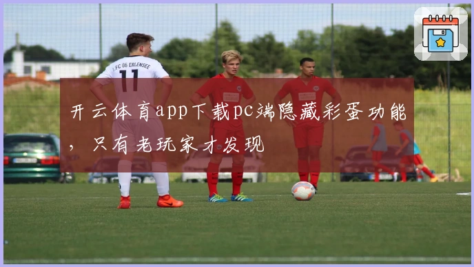 开云体育app下载pc端隐藏彩蛋功能，只有老玩家才发现