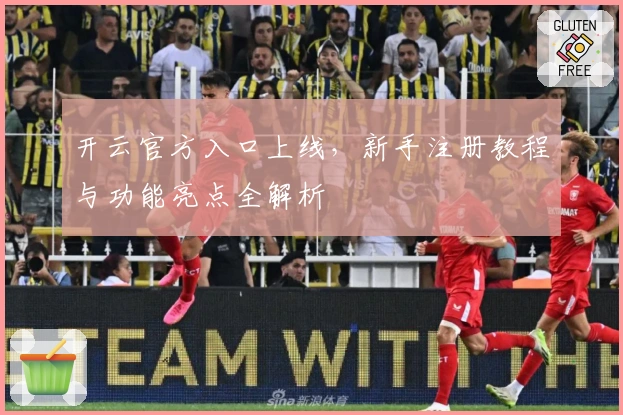 开云官方入口上线，新手注册教程与功能亮点全解析